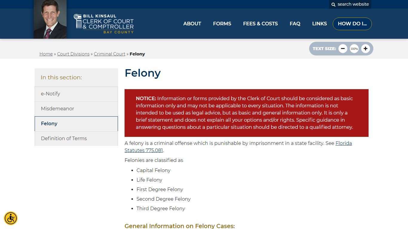 Felony - Bay County Clerk of Court